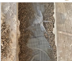 חשיפת צנרת